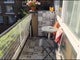 Photo of flatshare in London N19