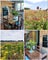 Photo of houseshare in Climping