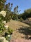 Photo of houseshare in Stocklinch