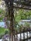 Photo of houseshare in Colindale