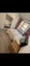 Photo of house to rent in Reading