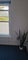 Photo of houseshare in Exeter