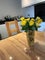 Photo of flatshare in Gants Hill