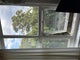 Photo of flatshare in Muswell Hill