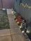 Photo of houseshare in Yeovil