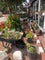 Photo of houseshare in Kemnay
