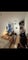 Photo of flatshare in Harringay