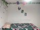 Photo of houseshare in Hatfield