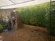 Photo of houseshare in Forest Gate