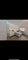 Photo of houseshare in Southmead