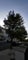 Photo of flatshare in Holland Park