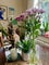 Photo of houseshare in Heeley