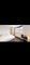 Photo of houseshare in Selly Oak