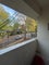 Photo of flatshare in Canonbury