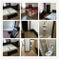 Photo of flatshare in Cardiff