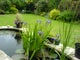 Photo of houseshare in Guildford