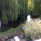 Photo of houseshare in Staines