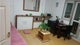 Photo of flatshare in Greenwich