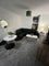 Photo of flatshare in South Shields
