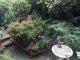 Photo of houseshare in Willesden
