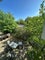 Photo of flatshare in Bethnal Green