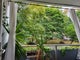 Photo of flatshare in Battersea park