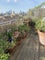 Photo of flatshare in Bethnal Green