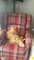 Photo of houseshare in Sileby