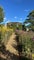 Photo of houseshare in Great Chesterford