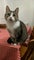 Photo of houseshare in Cowley