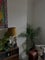 Photo of flatshare in Glasgow
