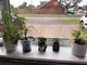 Photo of houseshare in Swindon