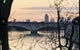 Photo of flatshare in Mortlake