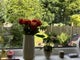 Photo of houseshare in Harborne