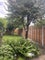 Photo of houseshare in Wolverhampton