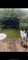Photo of houseshare in Holloway