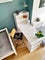 Photo of houseshare in Turnpike Lane
