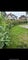 Photo of house to rent in Mansfield