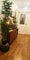 Photo of flatshare in Glasgow West End
