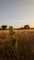 Photo of houseshare in Tewkesbury