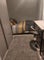 Photo of houseshare in Burnage