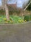 Photo of flatshare in Barton St David