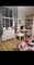 Photo of houseshare in New Cross Gate