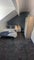 Photo of houseshare in Headingley