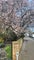 Photo of flatshare in Summertown
