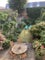 Photo of flatshare in London E8