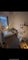 Photo of flatshare in Heaton