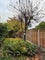 Photo of houseshare in Wolverhampton