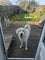 Photo of houseshare in Wallyford