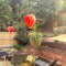 Photo of houseshare in Norwich